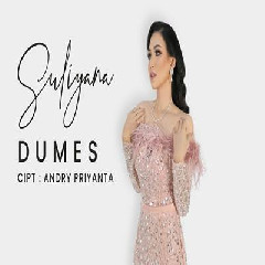 Suliyana - Dumes
