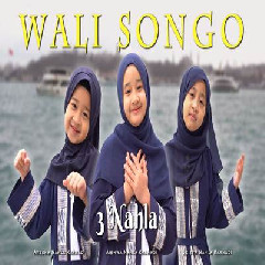 3 Nahla - Wali Songo